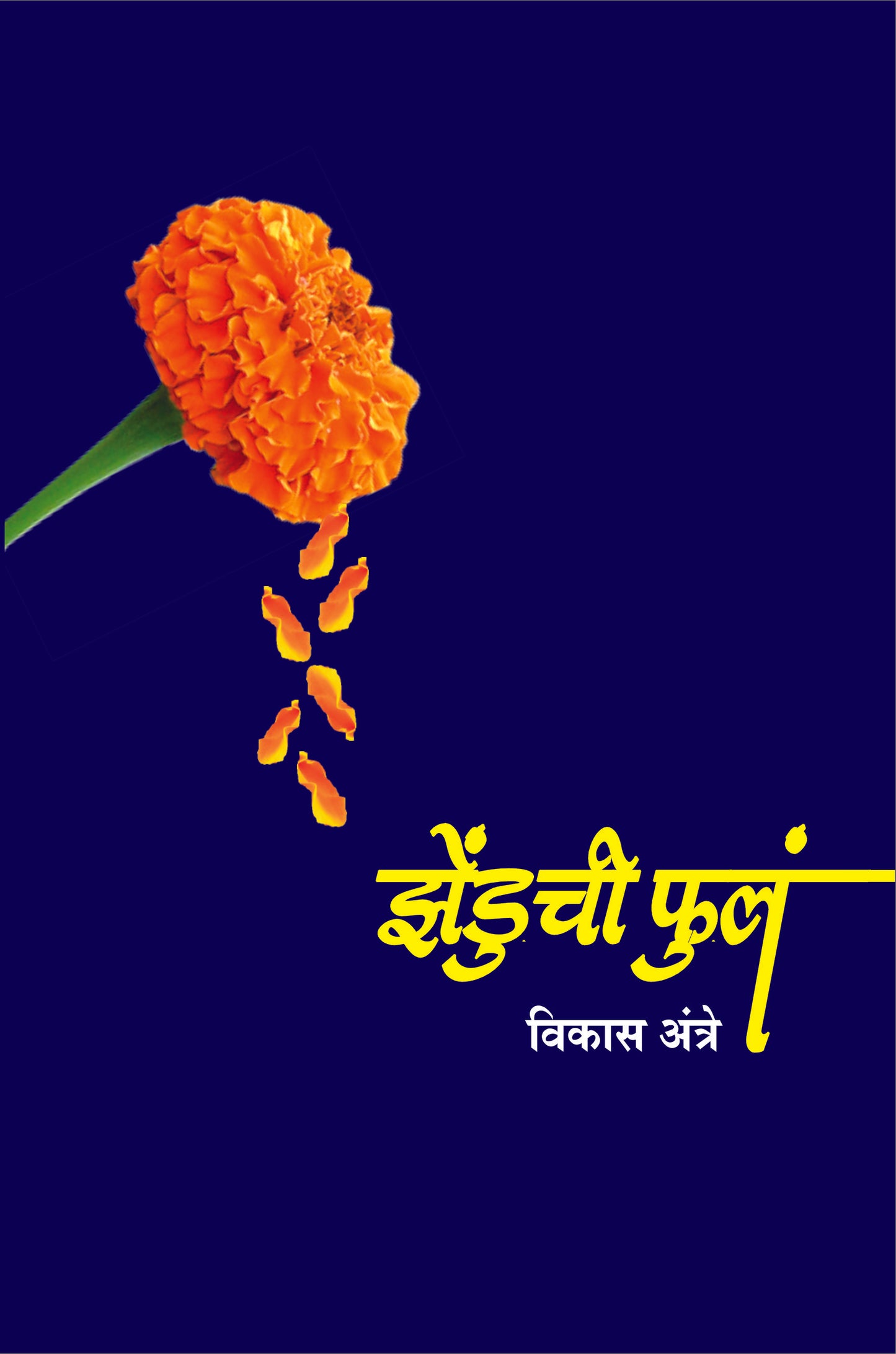 Zenduchi Phuln  झेंडूची फुलं  By Vikas Antre